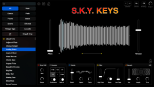 S.K.Y. Studios - S.K.Y. Keys Torrent v1.0.0 VST3i, AAX x64 [Win]