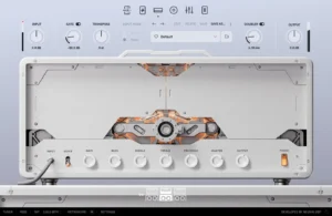 Neural DSP - Archetype Misha Mansoor X Torrent v1.0.1 STANDALONE, VST, VST3, AAX x64 [Win]