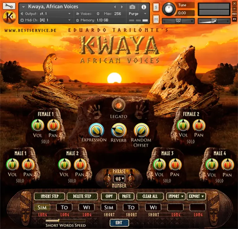 Best Service - Kwaya Torrent (KONTAKT)