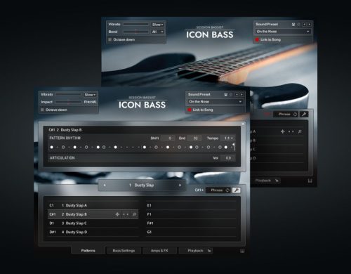 Native Instruments - Session Bassist - Icon Bass Torrent (KONTAKT)