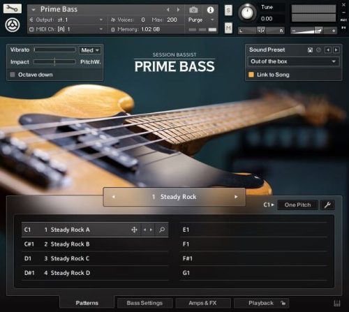 Native Instruments - Session Bassist Prime Bass Torrent (KONTAKT)