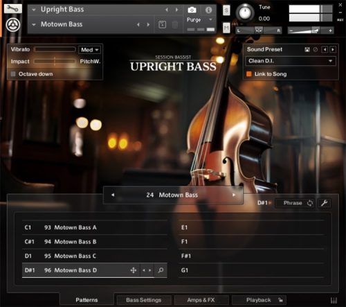 Native Instruments - Session Bassist – Upright Bass Torrent (KONTAKT)