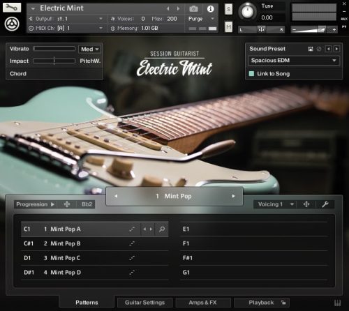 Native Instruments - Session Guitarist Electric Mint Torrent (KONTAKT)