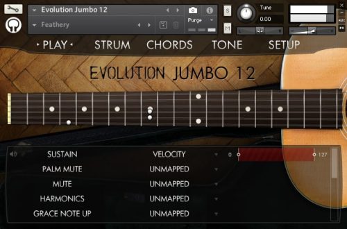 Orange Tree Samples - Evolution Jumbo 12 Torrent (KONTAKT)